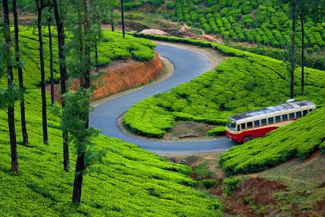 Munnar 