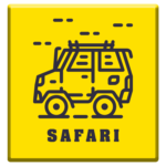 Safari