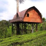 Wayanad-13012020080803