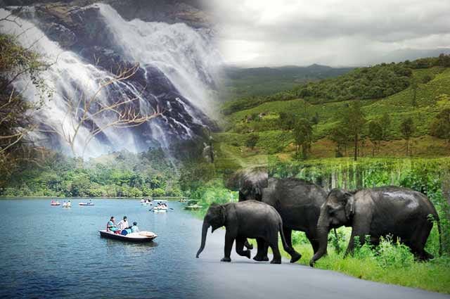 Wayanad