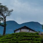 interesting-and-unknown-facts-about-wayanad629058ab36138