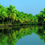 kerala-backwater-pacakge