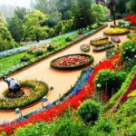 tourist-places-in-ooty1